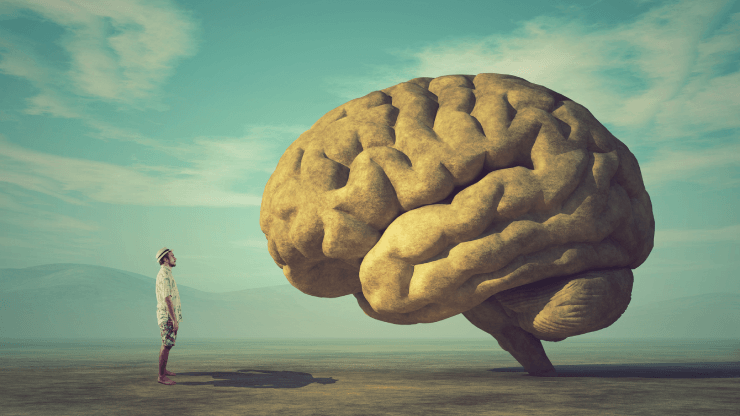 ‘First Principles Thinking’ als instrument om te groeien.